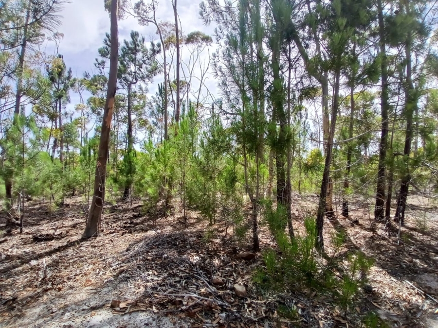 0 Bedroom Property for Sale in Napier Western Cape